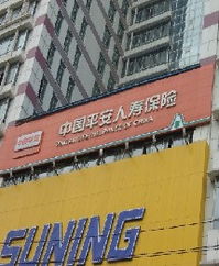 多彩广告 西宁广告制作行业的创新力量